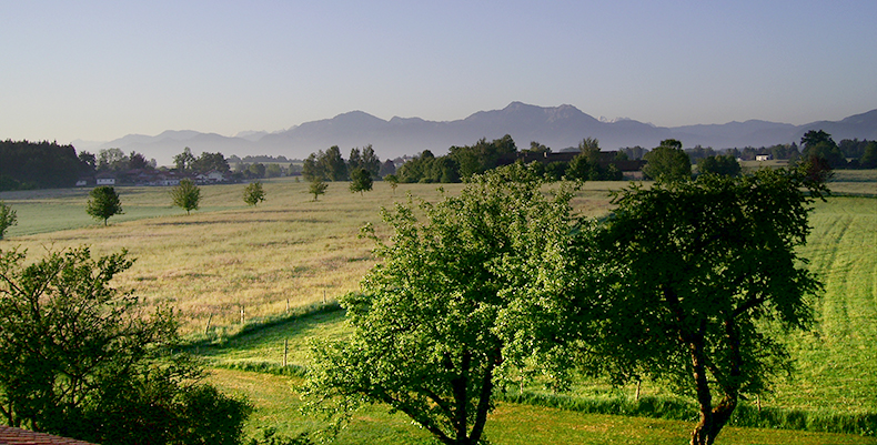 Sicht vom Sprenhof auf die Alpen